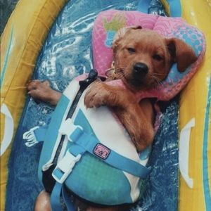 Meet your Posher, Savannah